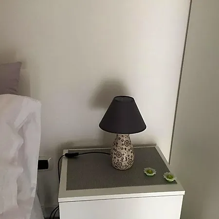Vuelo
